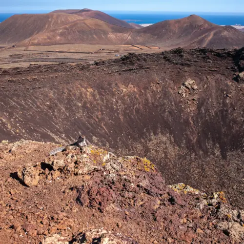 iStock-1412744958calderon hondo trail_result